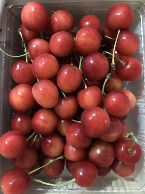 20190704083555.jpg